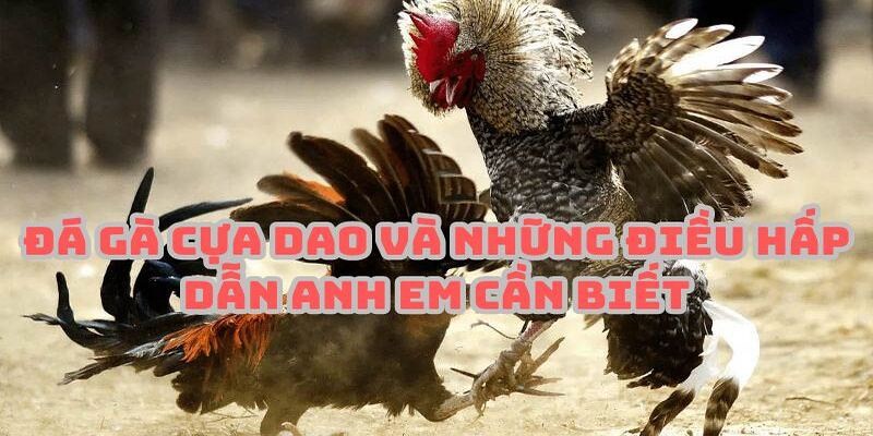 Cần nắm rõ quy tắc thi đấu của các cuộc so tài