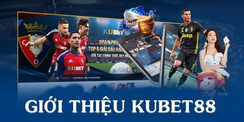 Giới thiệu Kubet88 - Nền tảng giải trí chất lượng cao