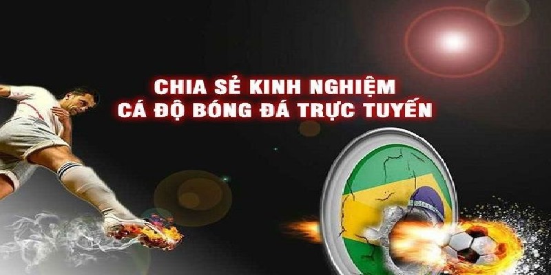 Bật mí kinh nghiệm hiệu quả khi cá độ thể thao